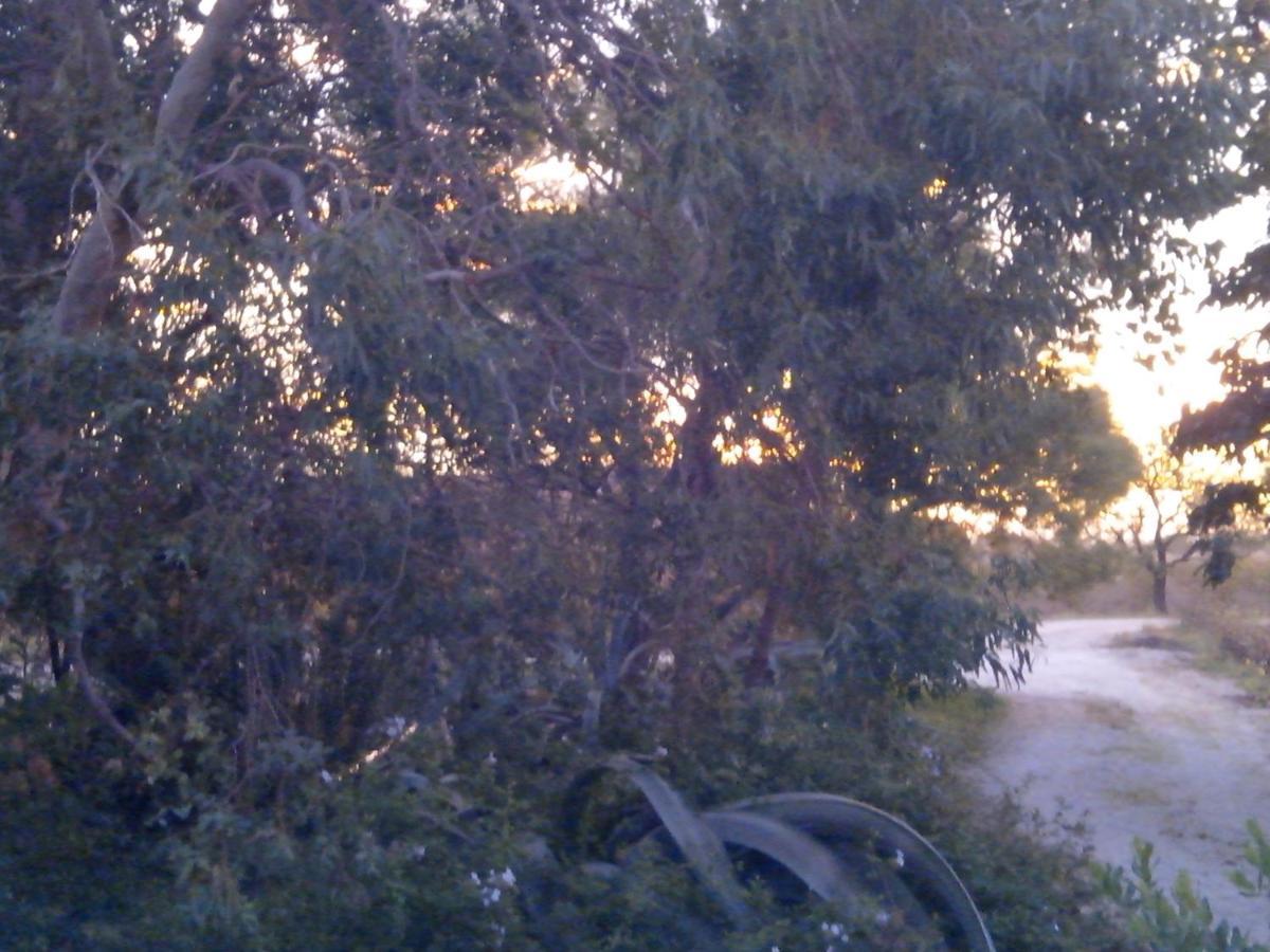Mas Soleil Et Vignes Bed & Breakfast Saint-Hippolyte  Exterior foto