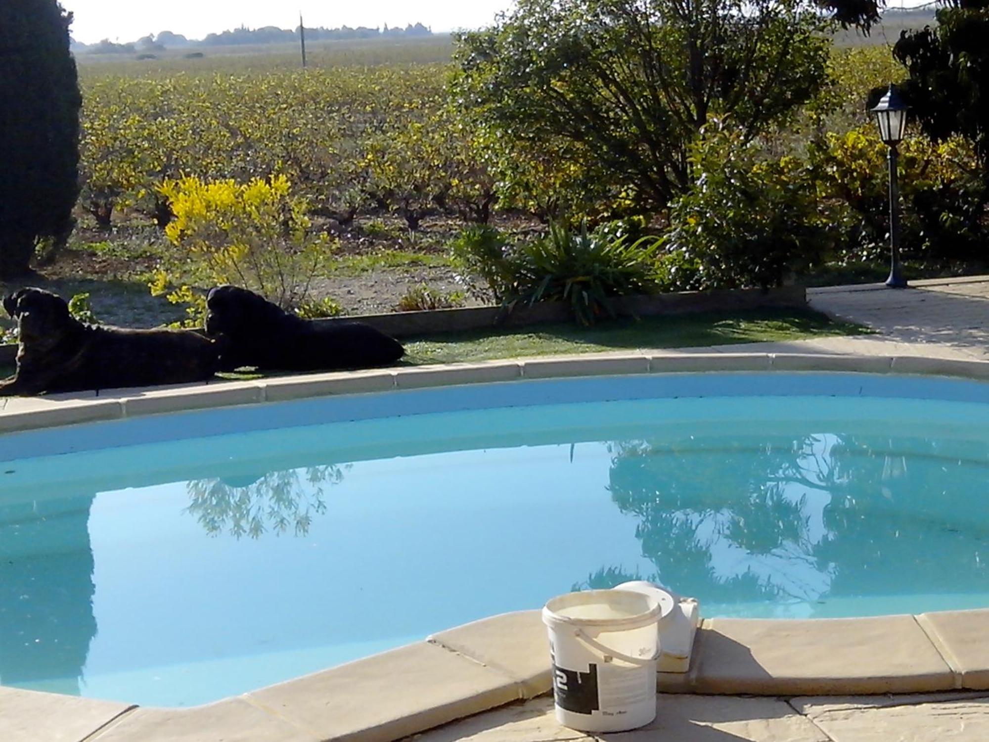 Mas Soleil Et Vignes Bed & Breakfast Saint-Hippolyte  Exterior foto